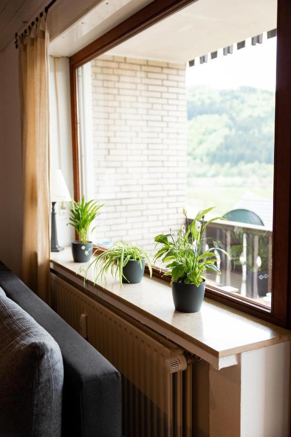Ferienwohnung Mit Seeblick — Sport Und Erholung Winterberg Exterior photo